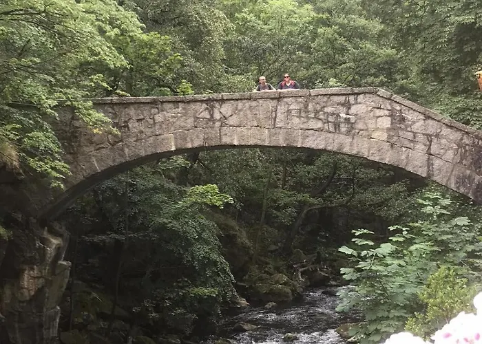Fachwerkhaus Im Herzen Von Apartment Halberstadt